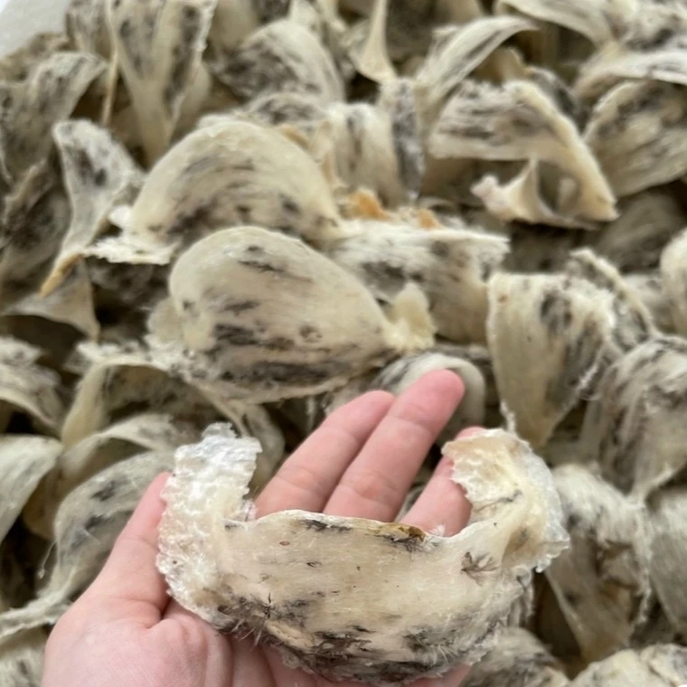 Wholesale OEM Vietnam Raw Bird Nest Type B Medium Size Original Few Spongy Improve Resistance Quite Bright