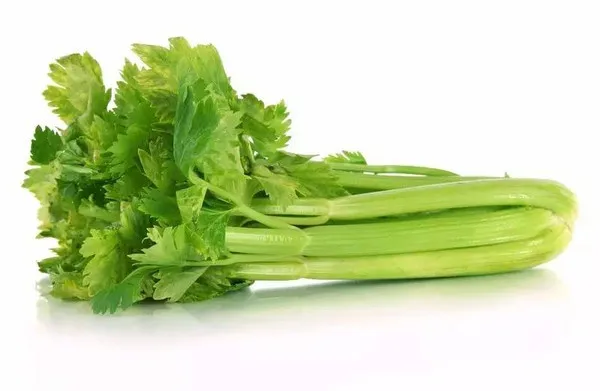 Celery Powder 60Grams Rich in Natural Fiber - Ms. Elaine +84 375 431 541