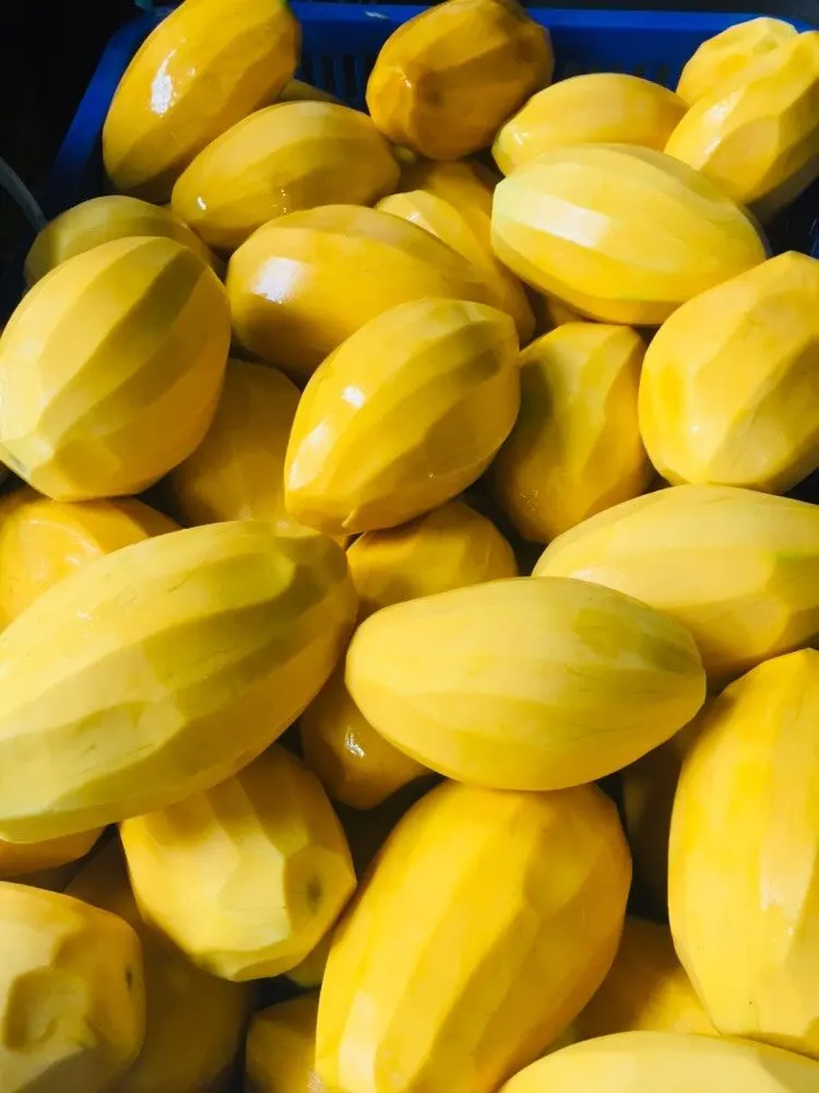 THE HIGHEST QUALITY FROZEN MANGO PUREE FROM VIETNAM WITH BEST PRICE -  MANGO PULP FOR SMOOTHIES, JUICE, ICE CREAM, DESSERT