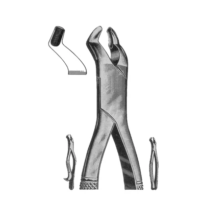 Premium Quality Stainless Steel Straight Surgical Instruments Durable Crile Forceps Basis of Surgical Equipment