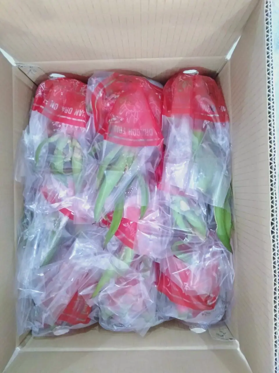 
Viet Nam Dragon Fruit Hylocereus polyrhizus - rich nutrition pitaya high quality red skin wholesale price free tax to EU Korea 