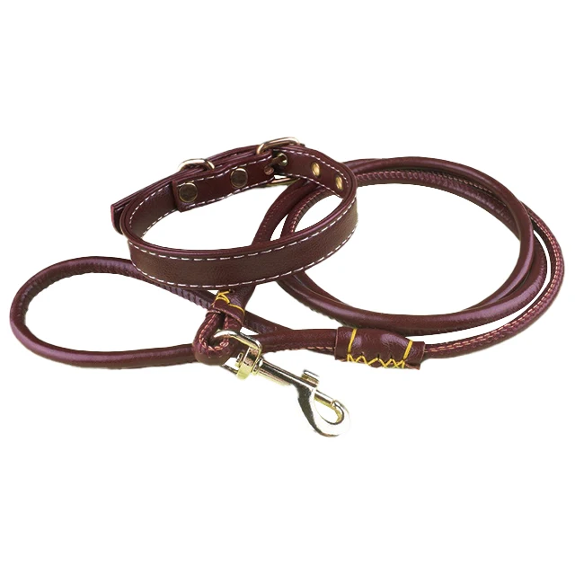 Personalized Pet Leashes with Custom Logo Dog Collar and Rope Leash Wholesale Manufacturer