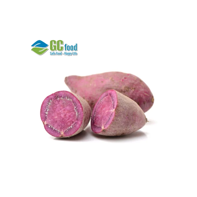 (GC Food) свежий картофель-100% зрелый Урожай-LC/TT по лучшей цене для оптовой продажи