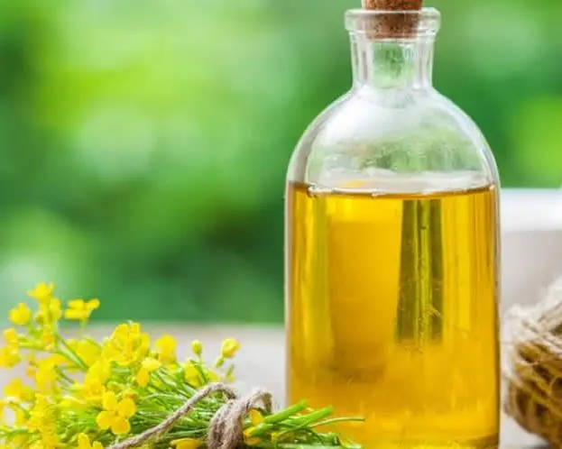 Refined Rapeseed Oil