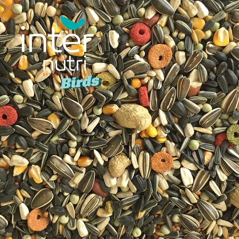 
Seed mixture for large psittacidae | INTERNUTRI PSITACIDEOS LARGE 15KG 