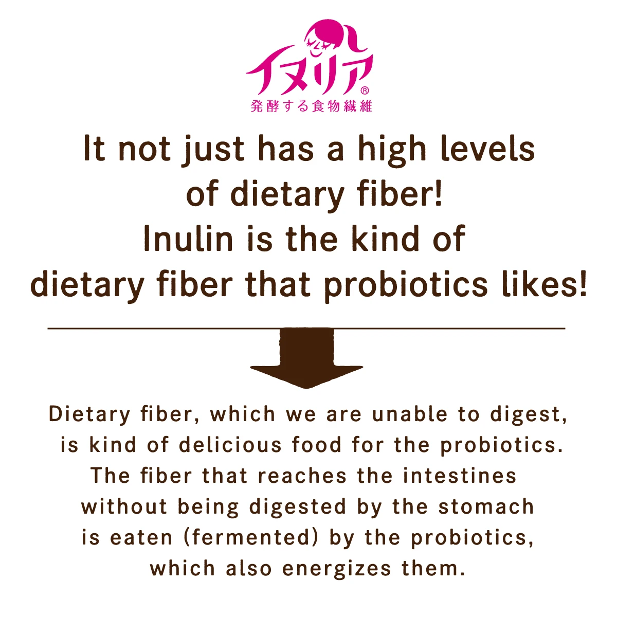 100% natural organic inulin manufacture 2kg from Japan