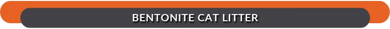 Bentonite-Cat-Litter.jpg