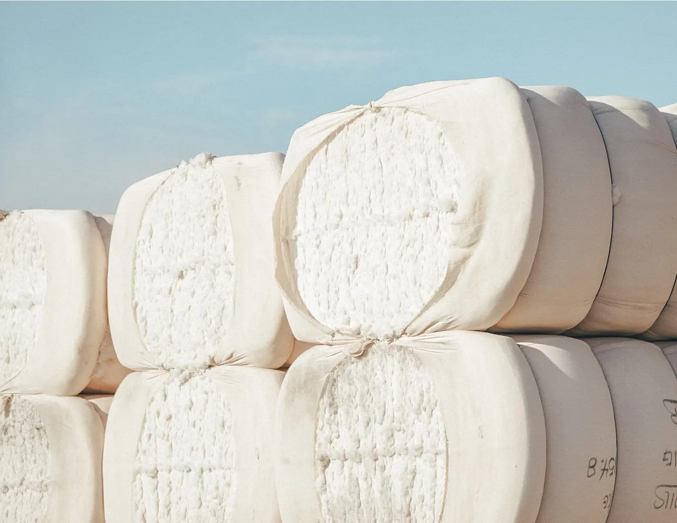 Cotton in Bulks/ Organic Raw Cotton/ Cotton Bales Ready for sale