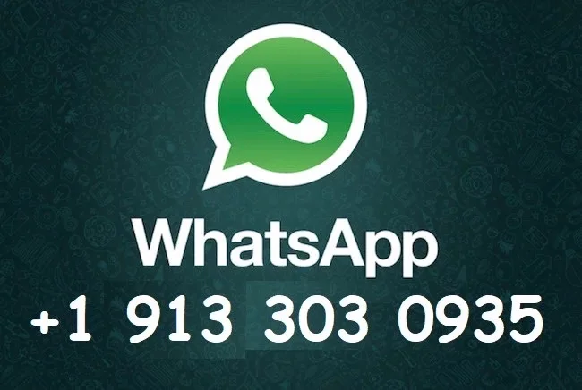 Best Offer For-DAIWA LEGALIS LT 1000D 2000D 2500XH 3000DCXH 4000DCXH 5000DCXH 6000DH Spinning Fishing Reel 5BB 10kg Max