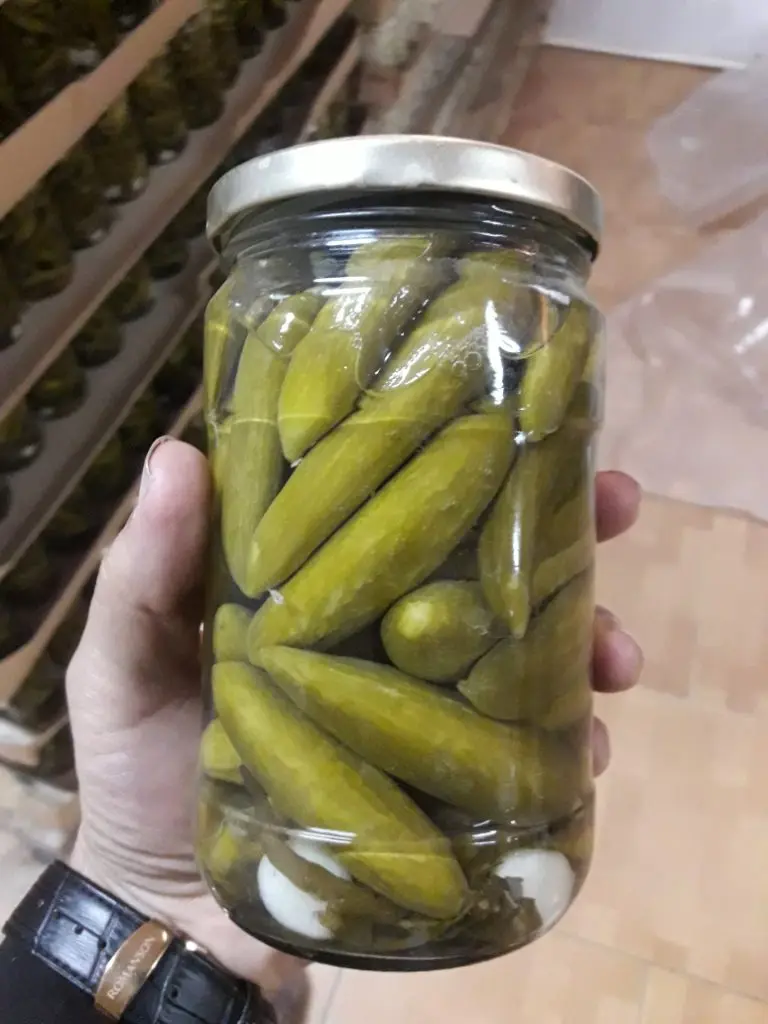 PICKLED CUCUMBER from VietNam with Best Price and High Quality 2021