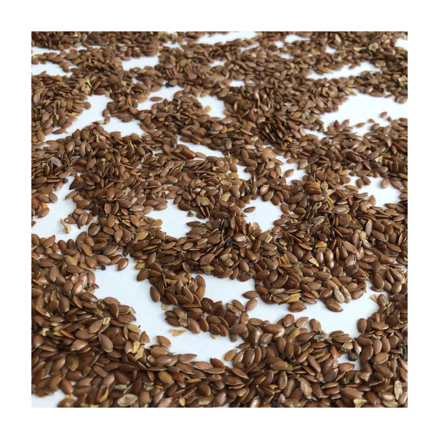 
Great quality natural flax seeds in bulk, product of Russia 