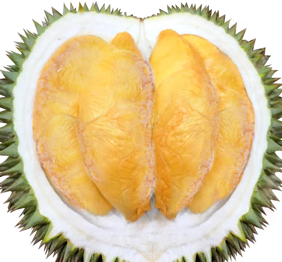 Frozen Premium Whole Durian D101 Malaysia