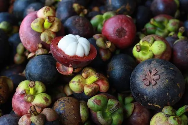 Fresh Mangosteen with thick juicy pulp from Vietnam - Ms KiO HYUNH + 84 34 375 8904