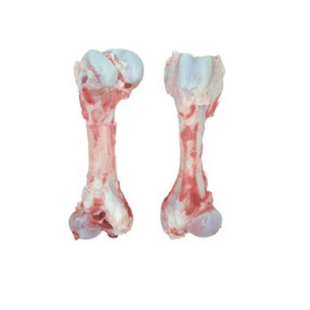 Pork Humerus Bone, Pig Humerus Bone, Pork Bones with Meat