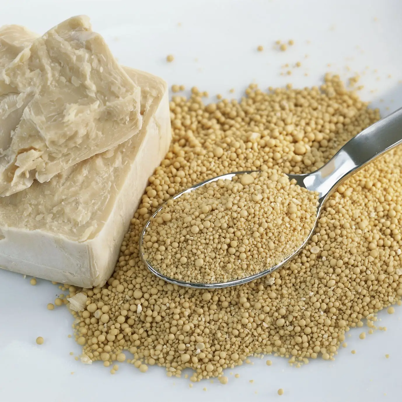 cheap price 500g bread Instant dry yeast for bakery