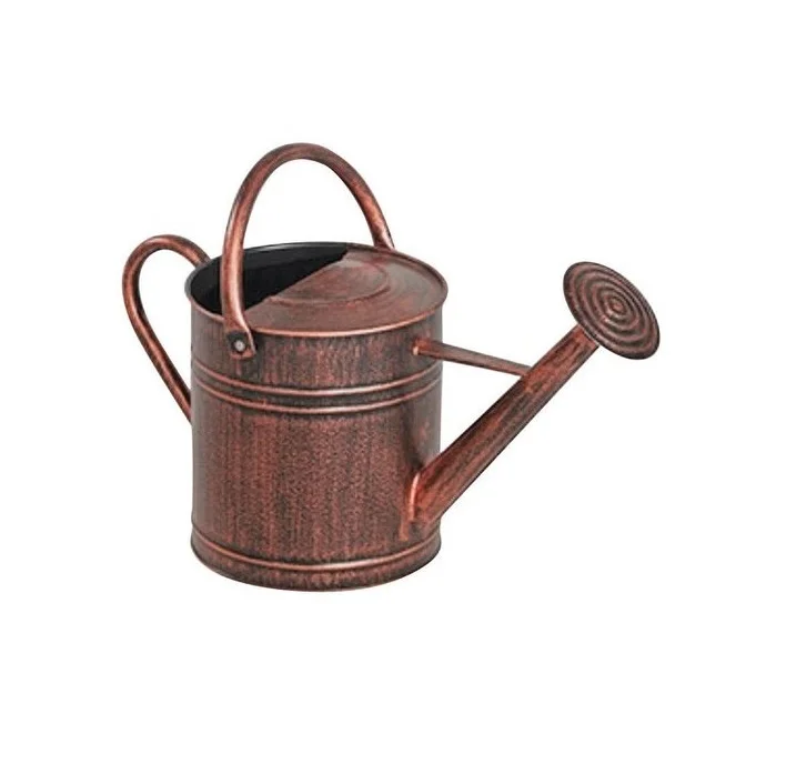 Оцинкованный дизайнер низкая цена ручная работа металлический поливочный трость