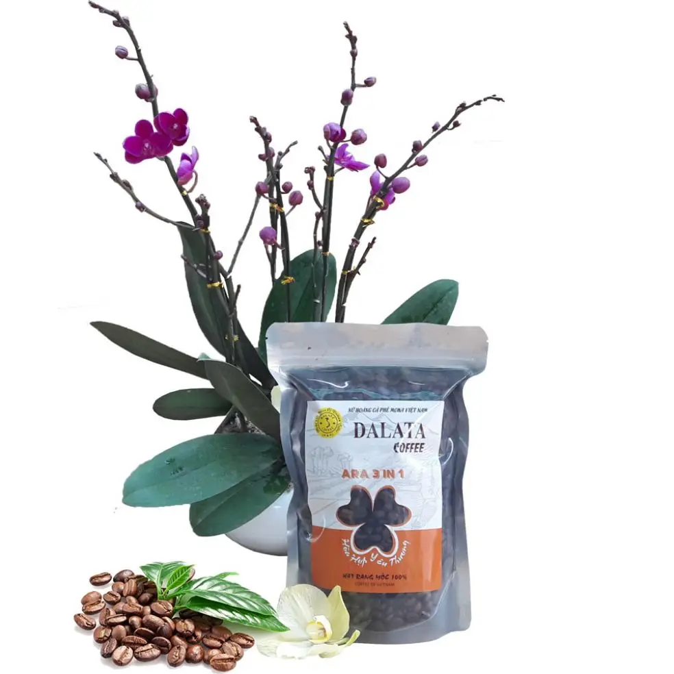 В топ-поисковом продукте 2021 жареная Ара 3 в 1 250 г экспорт из Вьетнама лучшая ара