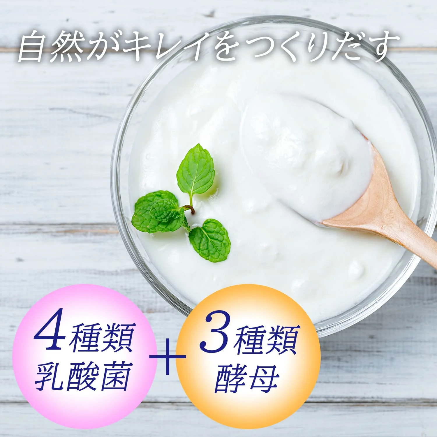 Kefir yoghurt without additives 100 percent natural home made powder