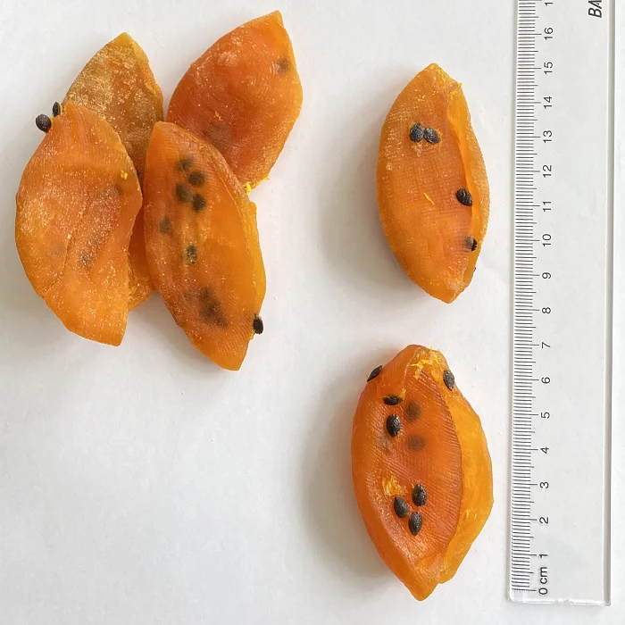 MIXED DRIED FRUIT - Dried Mixed Fruits - Dehydrated Fruits