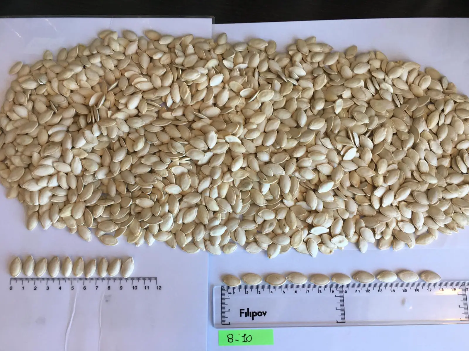 Price Export Pumpkin Seeds Shine skin New Crop Raw Natural Snack Packaging Wholesale Import Nuts New Crop Top Grade Raw