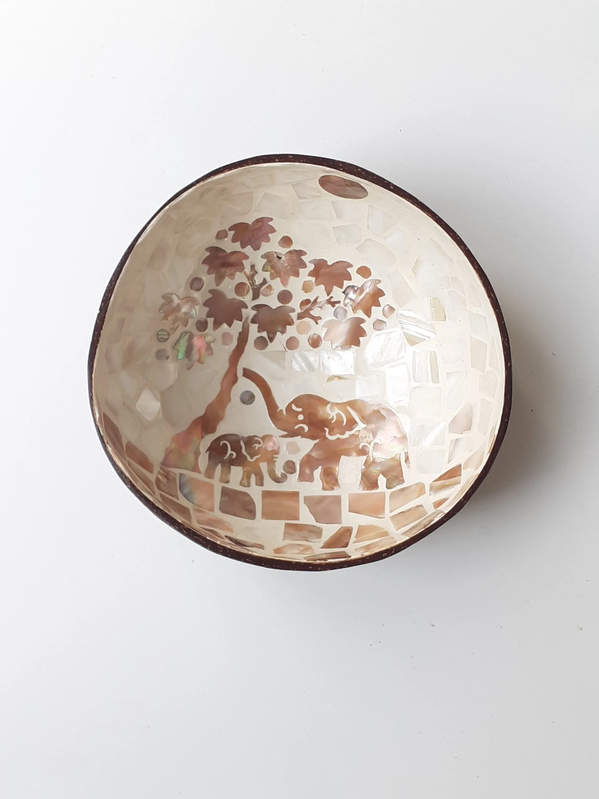 Vietnamese cheap animal pattern coconut bowl shell set of 2 - coconut bowl with mother of pearl inlay with ebony spoon