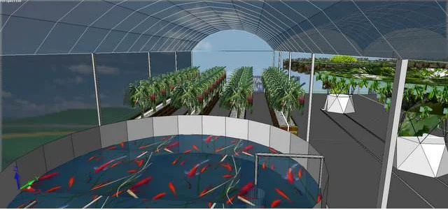 Fish Farming Aquaponic System Fish Greenhouse Shrimp Greenhouse