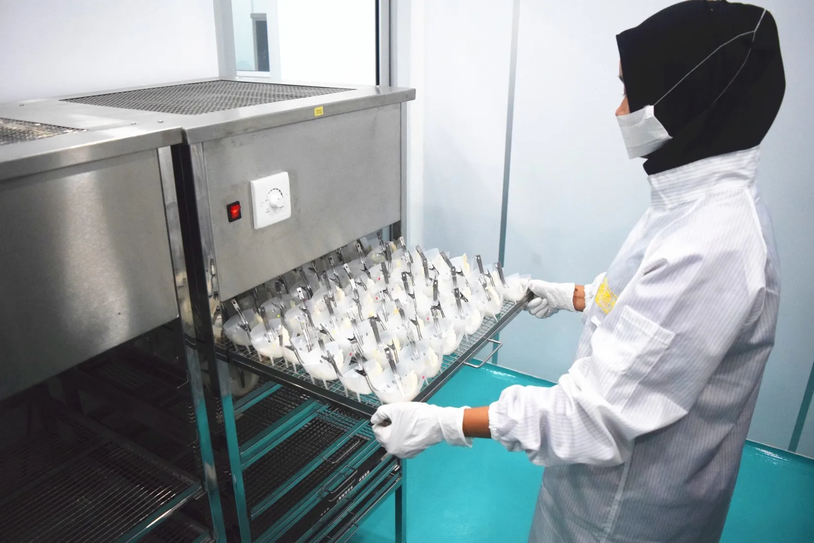  Верхняя Нижняя часть съедобного птичьего гнезда/кубилоза/да Янь Цзяо (гудок)