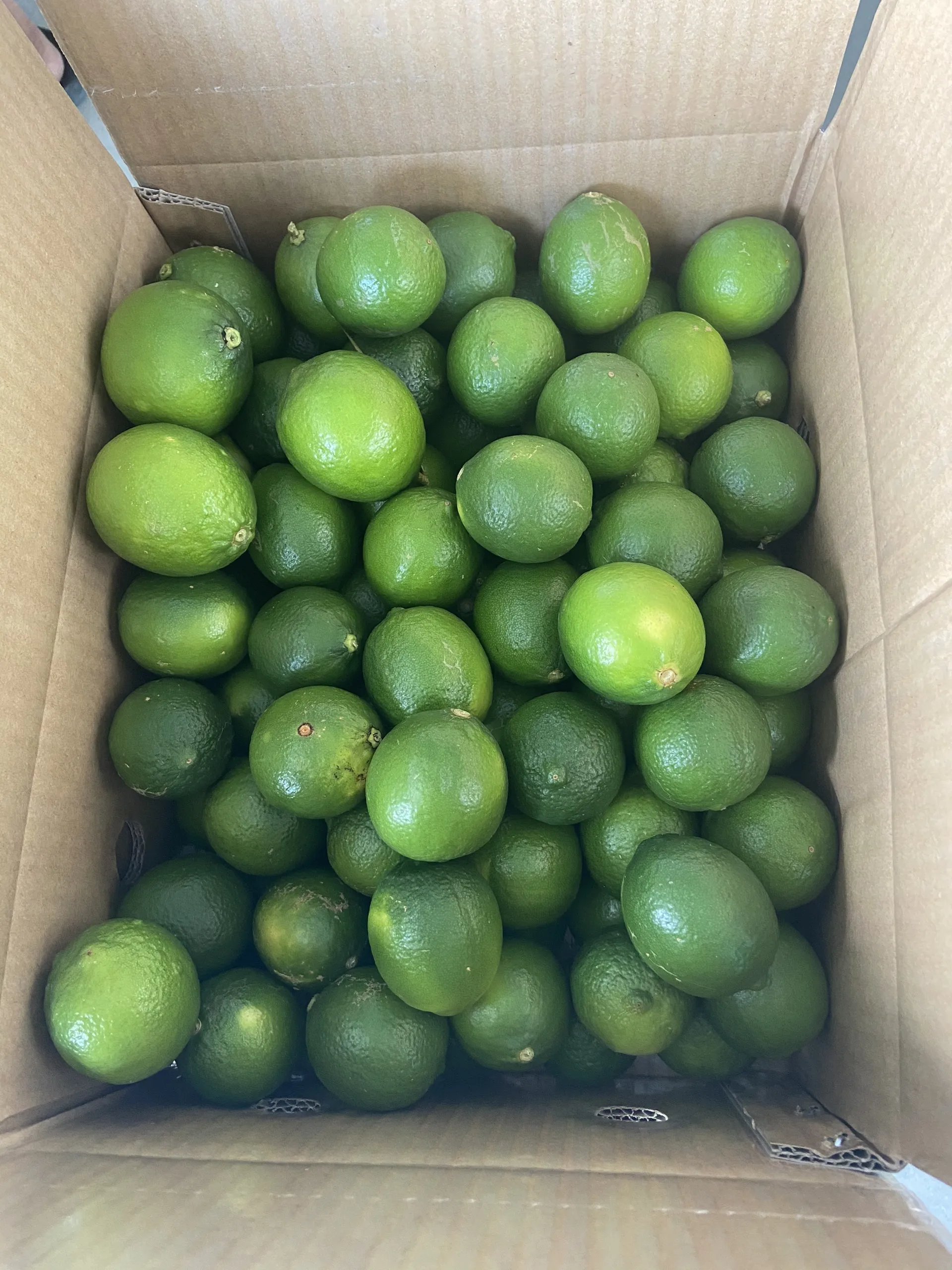 Fresh Seedless Lime/Lemon Vietnam Exporter (whatsapp +84966208131)