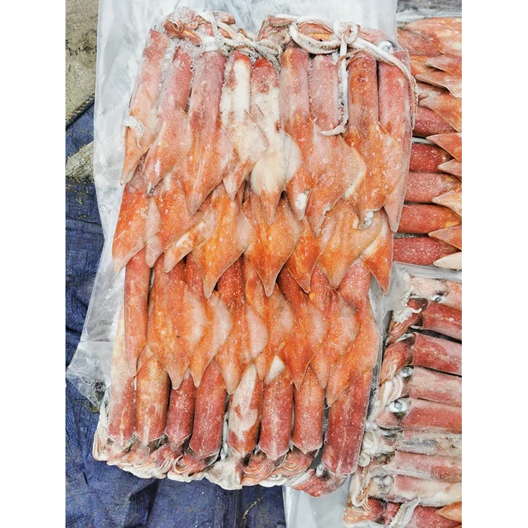 
Best Quality Sea Frozen Seafood Big Size Squid 