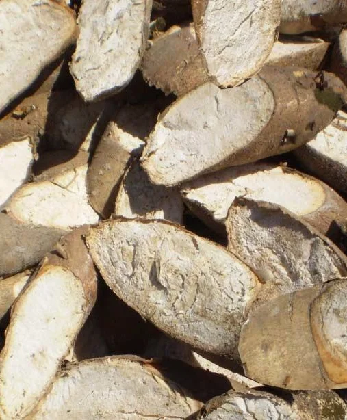 Manufacture Dry Slice Cassava Dried Tapioca Chips Natural Cassava Slice Vietnam Wholesale Best Price