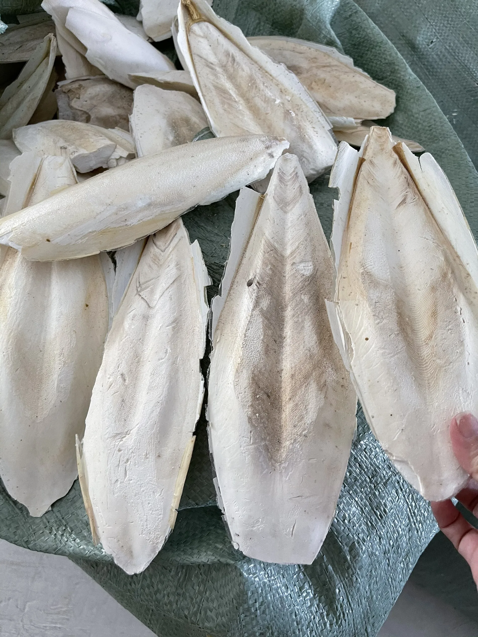 [Горячая сделка] 100% натуральная сушеная косточка шлэлли высокого качества/мисс нари + 84 976 592 207