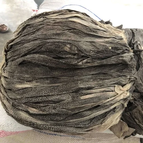 
Salted Omasum / Dry salted Cow 