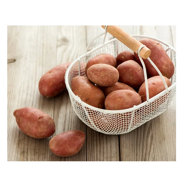 
Hot Selling Potatoes In Cheap Price Available In Pakistan 