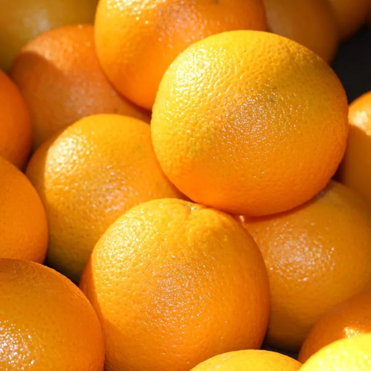 juicy citrus fruits for sale fresh sweet mandarain orange