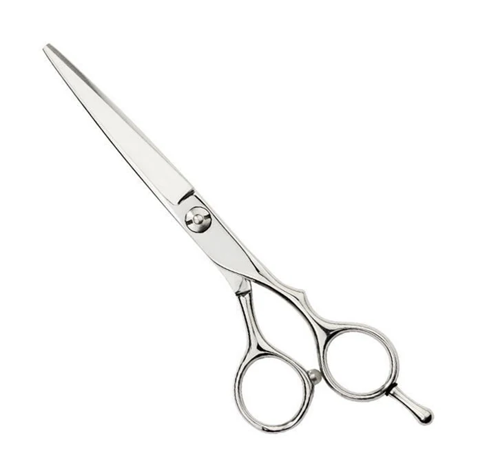 Ergonomically Designed 2021 Stylish Salon Scissors Professional Barber Styling Tools Top Grade Barber Scissors