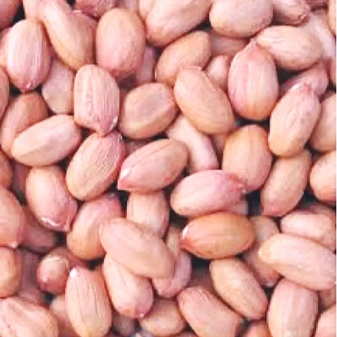 Свежий арахис