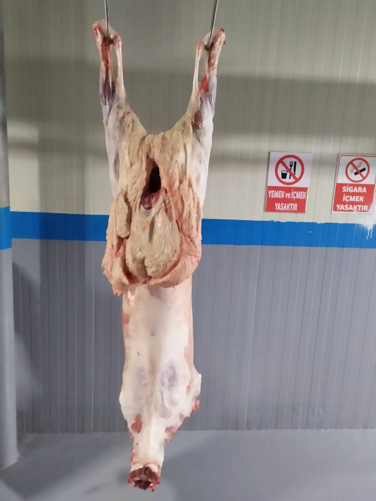 Premium quality 10 month old lamb carcass Turkish karaman sheep with halal slaughter export quality