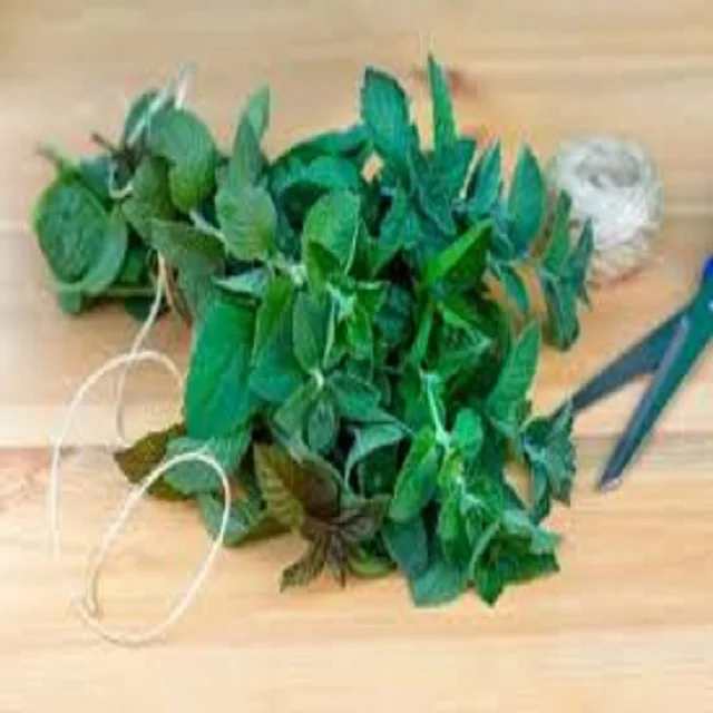 Premium Dry Herbal Flowers Pepper mint leaves cheap price