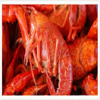  Хит продаж морозные раки на