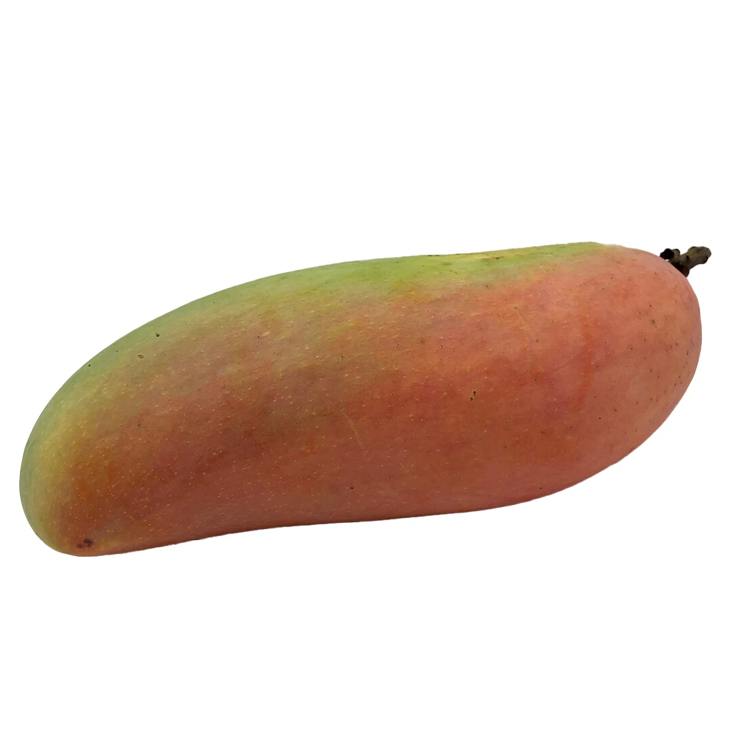 Premium Quality Imported Grade Mangoes Fruit Temperature measuring Top Grade Selecting  for Consuming  from Thailand Mahachanok