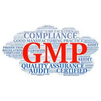 Professional Gmp document translations services Provide High Quality Certificate Translation Services, Across The Globe At delhi