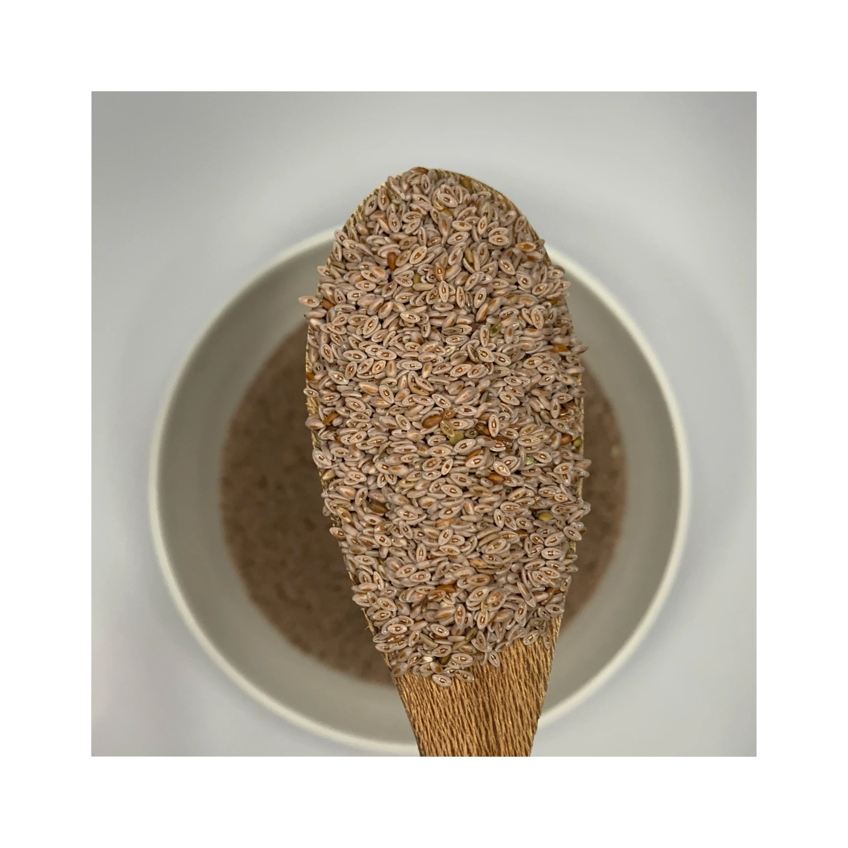 Organic Psyllium Seed Premium High Quality Pure Extract 99% Wholesale Bulk Quantity Retail Best Price Best Quality