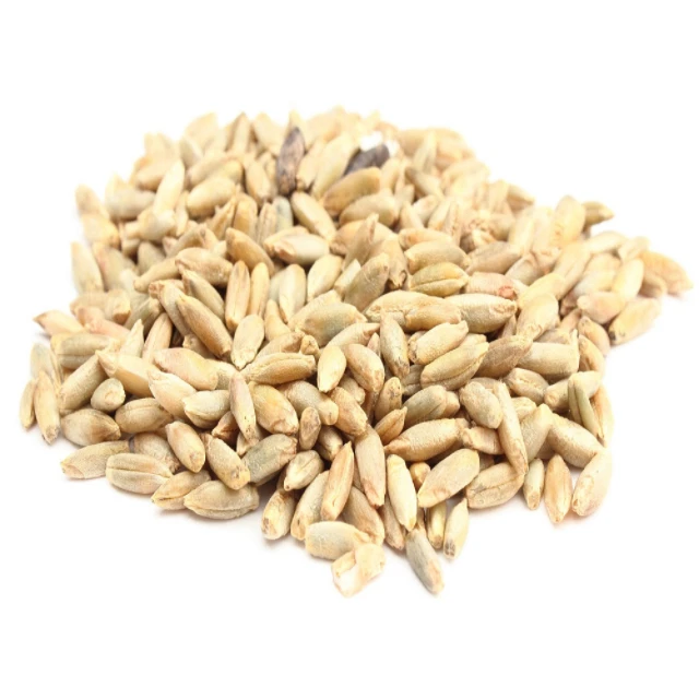 Rolled Rye Flakes Food Denmark