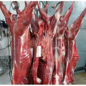 Halal Fresh Goat Meat Carcass / Lamb Meat Carcass / Beef Carcass