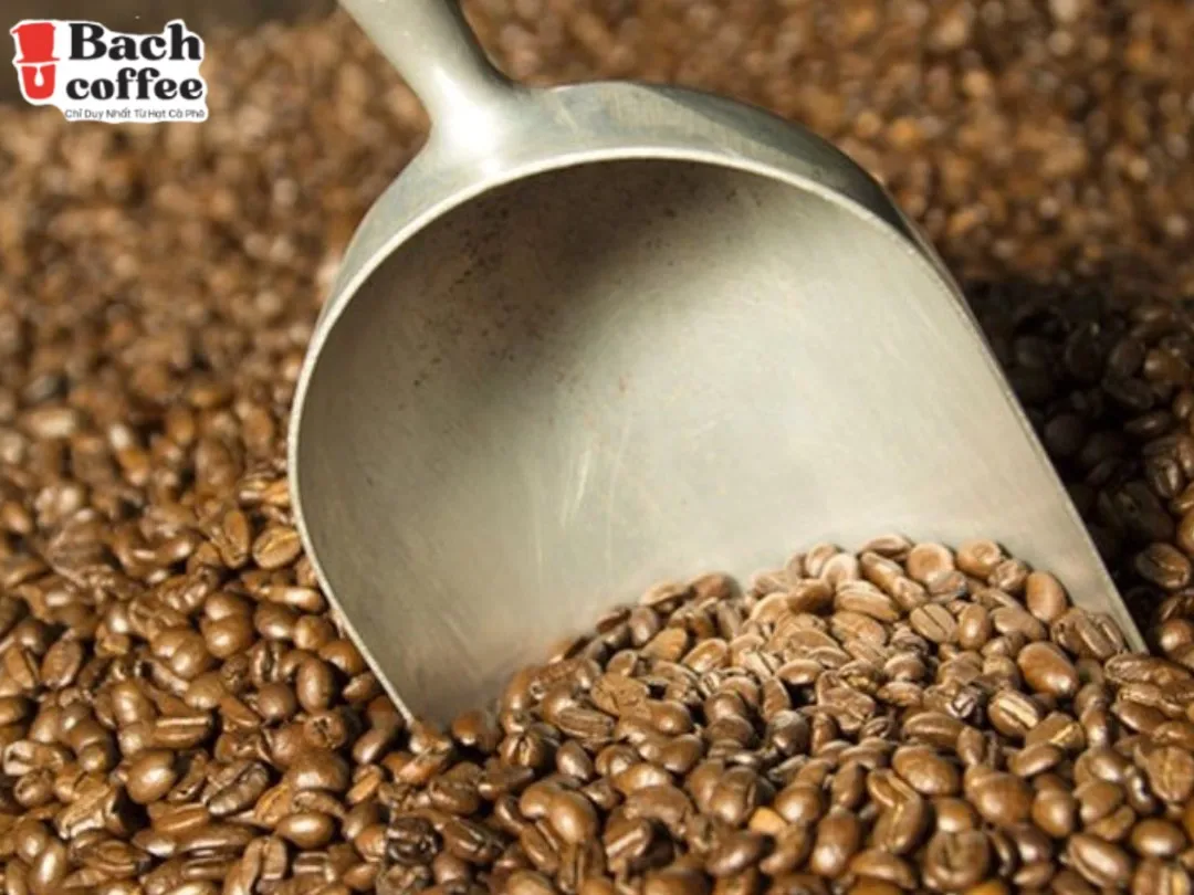 Вьетнамская Органическая кофе-Премиум кофейная смесь 100% ручной сборки-французское обжаренное-кофейные зерна Арабика робуста жареная