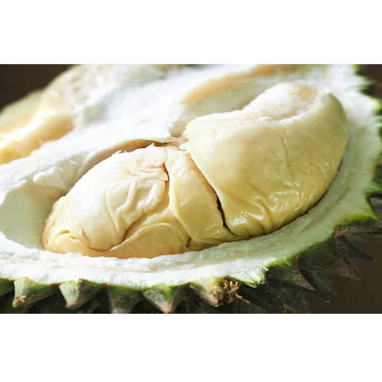 Wholesale Whole Big Fresh Frozen D13 Durian Affordable Price Fresh Premium Grade Smooth Texture Mellow Tasty