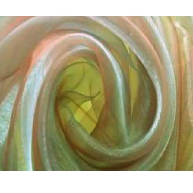 High Quality 2024 New Latest Design Best Sell Satin Spangle Gold Sequins Embroidery Organza Fabric Design for Party