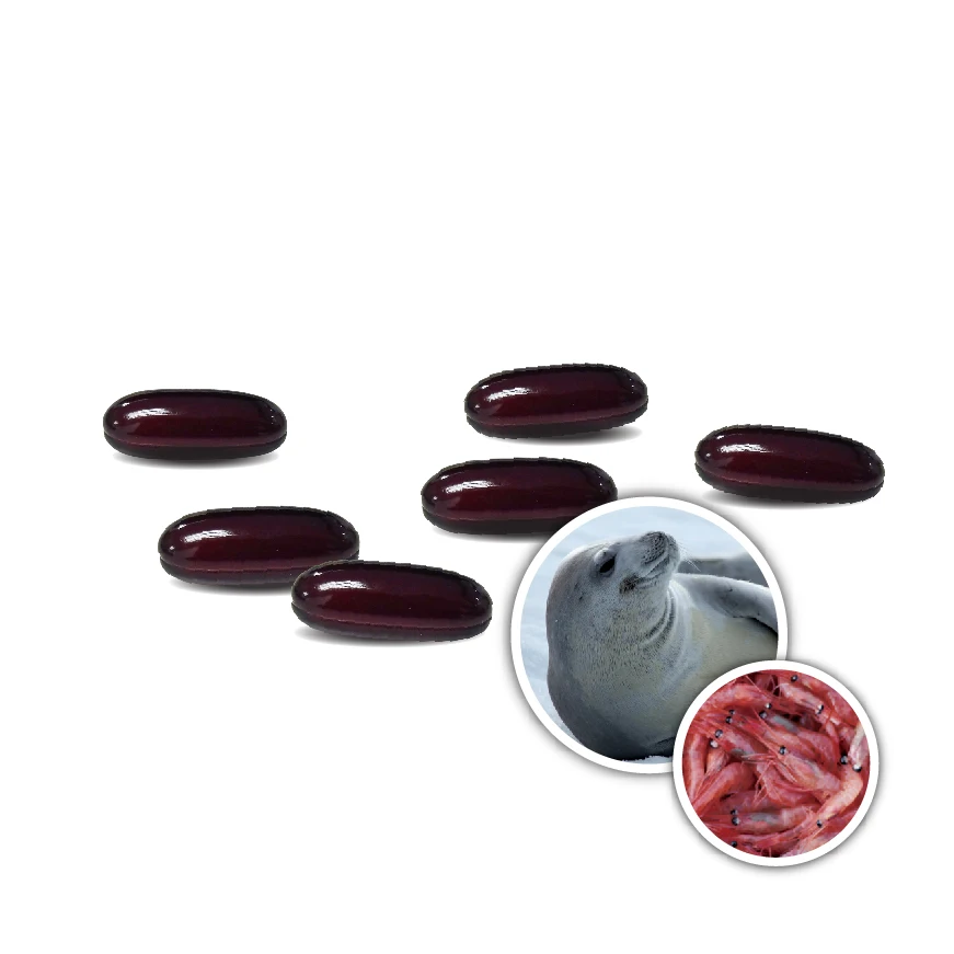 Fast absorption of Malaysia CellLabs Seal & Krill Oil to prevent plaque