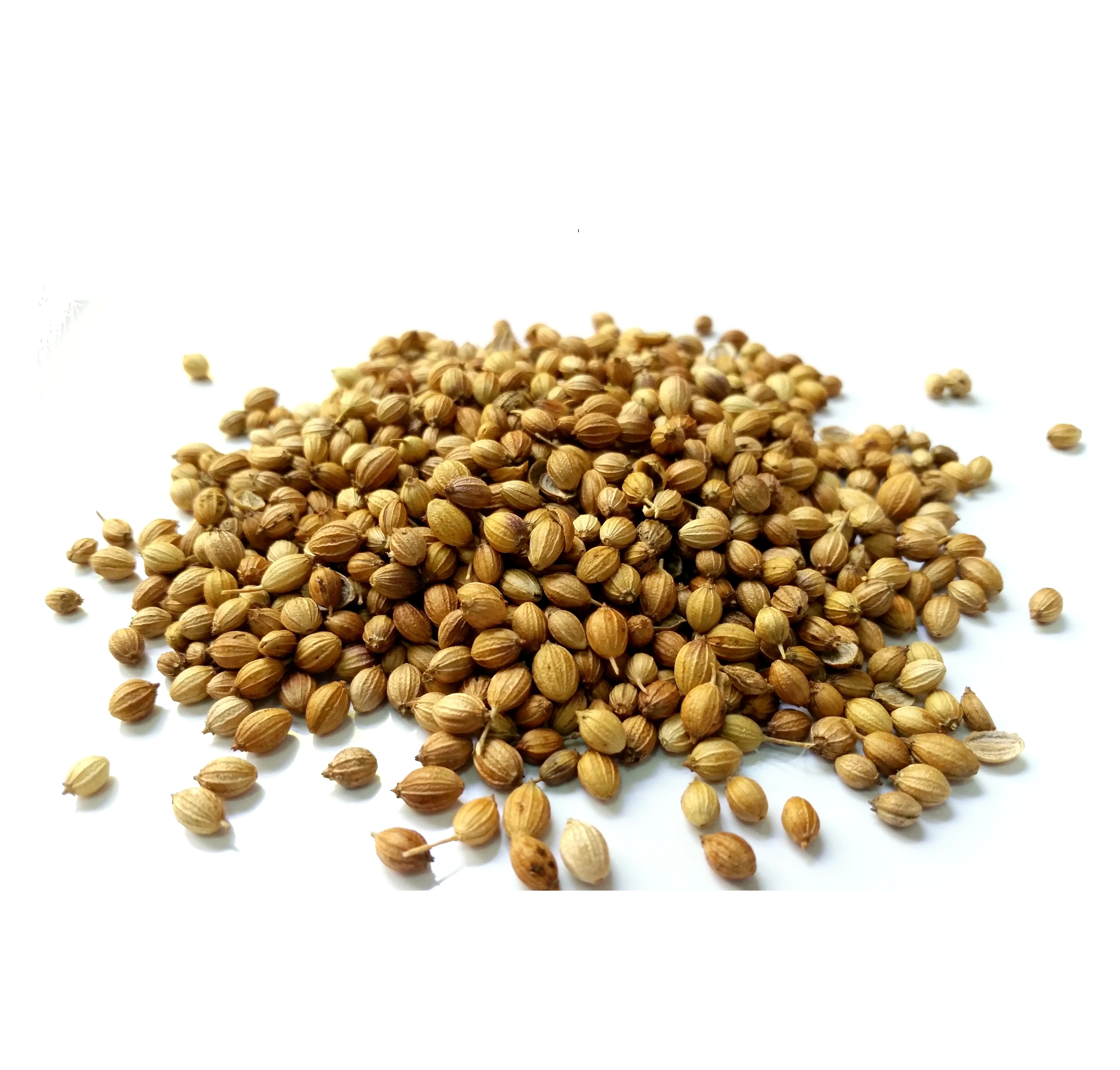 Высококачественные семена