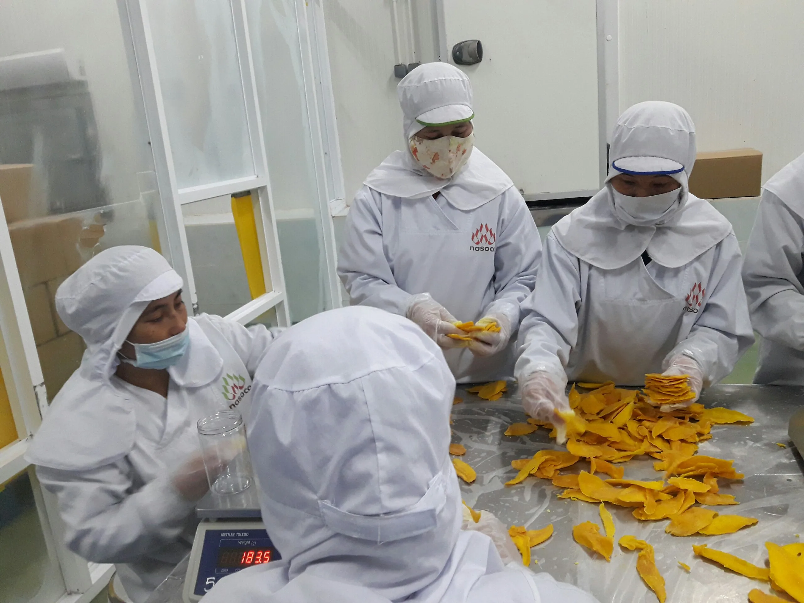 
High Quality Dehydrated Mango Fruit From Vietnam 